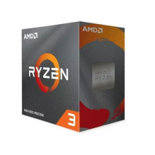 AMD Ryzen 4300G processor...