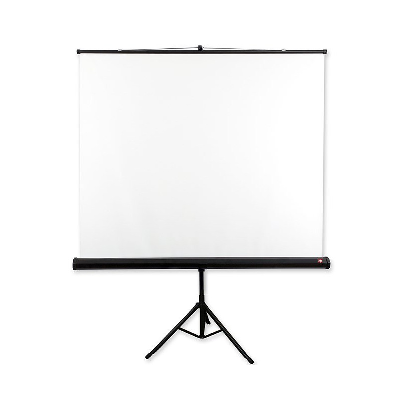 Avtek Tripod Standart 175 projection screen 1:1