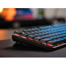 Trust GXT 866 TORIX keyboard Gaming USB QWERTY US International Black