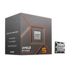 AMD Ryzen 5 8400F procesorius 4,2 GHz 16 MB L3 Box