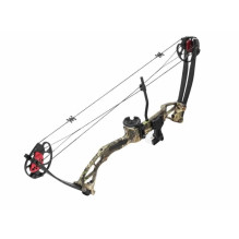 Poe Lang Rex Quad 25-45lb 28' pulley bow , camo