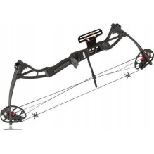 Poe Lang Rex Quad skriemulio lankas - (CO-029B) Juodas