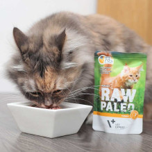 RAW PALEO Adult Cat Turkey - wet cat food - 100 g