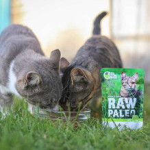 RAW PALEO Adult Cat Sterilised Game - wet cat food - 100 g