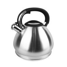 Electric kettle MR-1319...