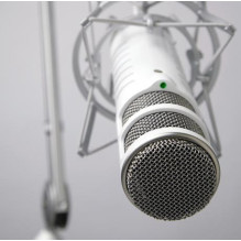 RØDE Podcaster Grey Stage / performanso mikrofonas