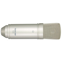 Tascam TM-80 microphone...