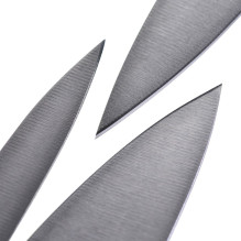 ZWILLING 36130-005-0 virtuvės stalo įrankių / peilių rinkinys 2 vnt.