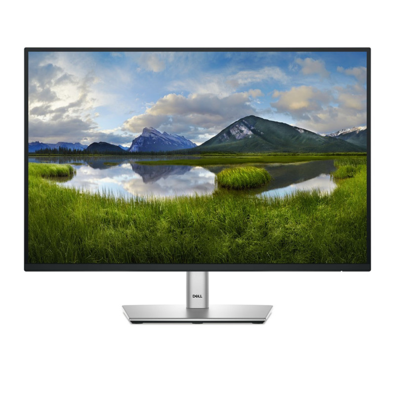 DELL P Series P2425E computer monitor 61.1 cm (24.1&quot;) 1920 x 1200 px WUXGA LCD, black