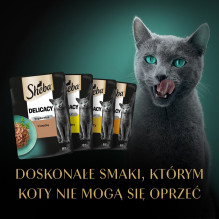 SHEBA Delicacy Drobiowe Smaki želė - šlapias kačių maistas - 40x85 g