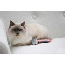 KERBL Soft Cat Brush with Comb - 16x16 cm