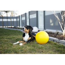 KERBL Durable, Large Interactive, Floating Ball - Dog Toy - 30 cm