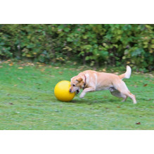 KERBL Durable, Large Interactive, Floating Ball - Dog Toy - 30 cm