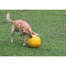 KERBL Durable, Large Interactive, Floating Ball - Dog Toy - 30 cm