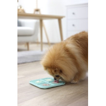 KERBL Slow-eating Licking Mat - Turquoise Tray, Bowl for Dog / Cat - 20x20 cm