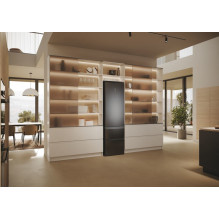 Haier šaldytuvas HTW5620CNMP (414L darl inox)