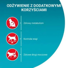 PURINA One Sterilcat Wołowina - sausas kačių maistas - 9,75kg