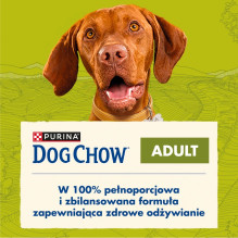 PURINA Dog Chow Adult Lamb - sausas šunų maistas - 14 + 2,5kg