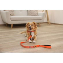 KERBL Puno Reflective Dog Collar - Orange - 36-45cm