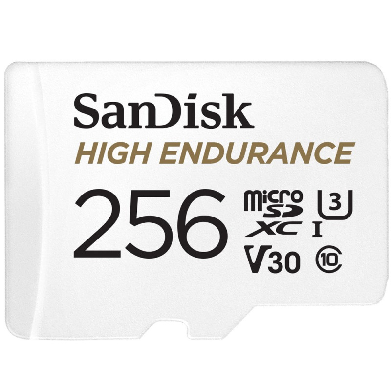 SanDisk High Endurance 256 GB MicroSDXC UHS-I 10 klasė