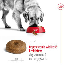 Royal Canin Size Maxi Aging 8+ Suaugęs 15,3 kg