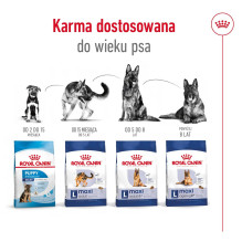 Royal Canin Size Maxi Ageing 8+ Adult 15.3 kg