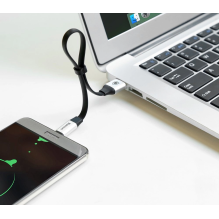 Baseus Nimble flat cable USB / USB-C cable with holder 2A 0.23M black (CATMBJ-01)