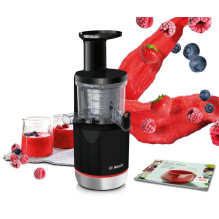 Bosch MESM731M Slow juicer 150 W Black