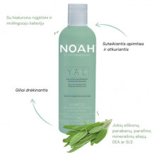 YAL Hydrating And Restorative Treatment Shampoo Atkuriamasis drėkinantis šampūnas su hialurono rūgštimi ir šalaviju, 250
