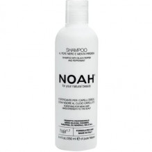 1.7. Shampoo With Black Peper And Pepermint Plaukus stiprinantis šampūnas silpniems, slenkantiems plaukams, 250 ml