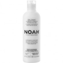 2.1. Nourishing Conditioner With Mango And Rice Proteins Maitinamasis balzamas lengvinantis plaukų iššukavimą, 250ml