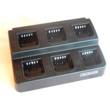 6-compartment charger for...