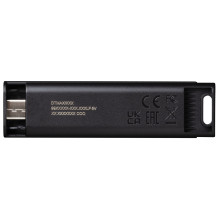 Kingston Technology DataTraveler 256GB Max 1000R / 900W USB 3.2 Gen 2