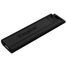 Kingston Technology DataTraveler 256GB Max 1000R / 900W USB 3.2 Gen 2