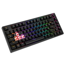 SAVIO PHENIX Belaidė mechaninė klaviatūra, Gateron Red Pro, ABS