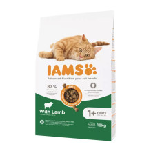 IAMS Advanced Nutrition Cat Adult Lamb - dry cat food - 10 kg