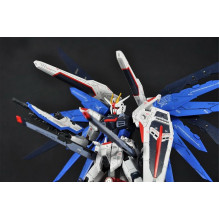 RG 1 / 144 FREEDOM GUNDAM