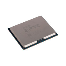 AMD EPYC 8124P procesorius 2,45 GHz 64 MB L3