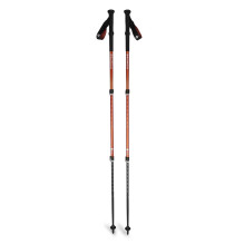 Trekking poles Black...