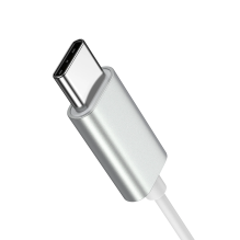 Joyroom JR-EC06 USB-C į ausis įdedamos ausinės – sidabrinės