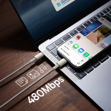 Baseus Tungsten Gold USB-C / USB-C cable 100W 1m - gold