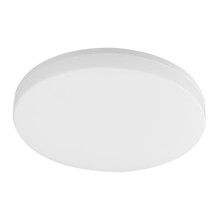 Tellur WiFi LED lubų šviestuvas, 24W, apvalus