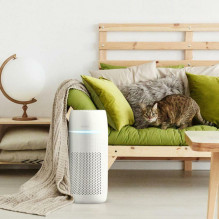 Homedics AP-PET35WT-EU TotalClean PetPlus 5 in 1 Air Purifier