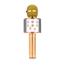 Manta MIC10-G Gold