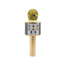 Manta MIC10-G Gold