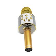 Manta MIC10-G Gold