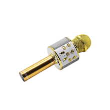 Manta MIC10-G Gold