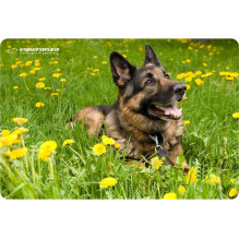 Esperanza EA133 mouse pad Multicolor