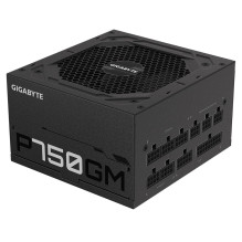 Gigabyte P750GM maitinimo blokas 750 W 20+4 kontaktų ATX ATX Black