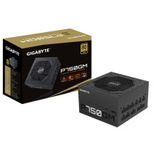 Gigabyte P750GM maitinimo blokas 750 W 20+4 kontaktų ATX ATX Black